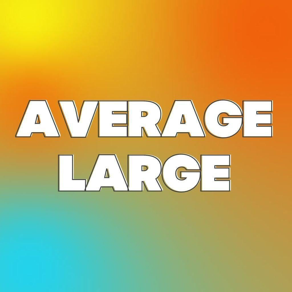 Average Large Cap